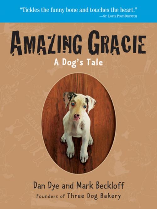 Cover of the book Amazing Gracie by Mark Beckloff, Dan Dye, Workman Publishing Company