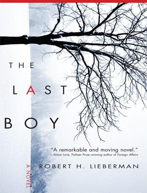 Cover of the book The Last Boy by Robert Lieberman, Sourcebooks