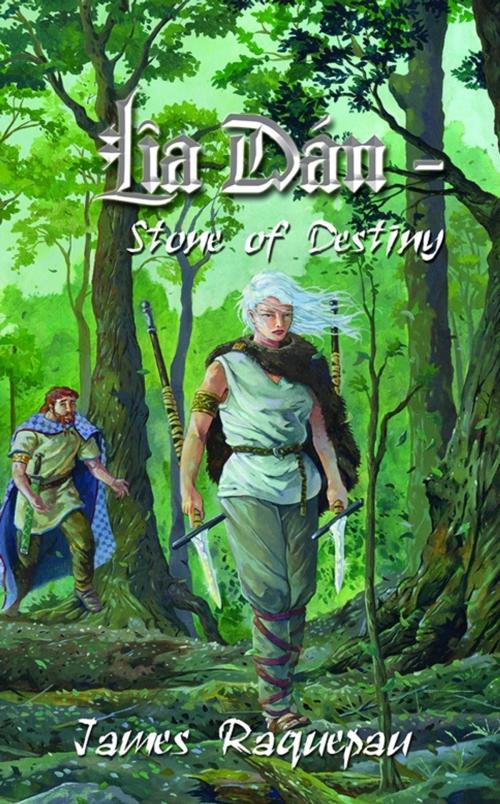 Cover of the book Lia Dán - Stone of Destiny by James Raquepau, AuthorHouse