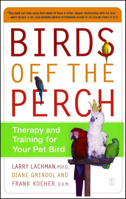 Cover of the book Birds Off the Perch by Larry Lachman, Diane Grindol, Frank Kocher, Touchstone