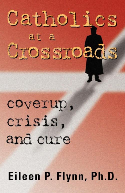 Cover of the book Catholics at a Crossroads by Eileen Flynn, Paraview Press