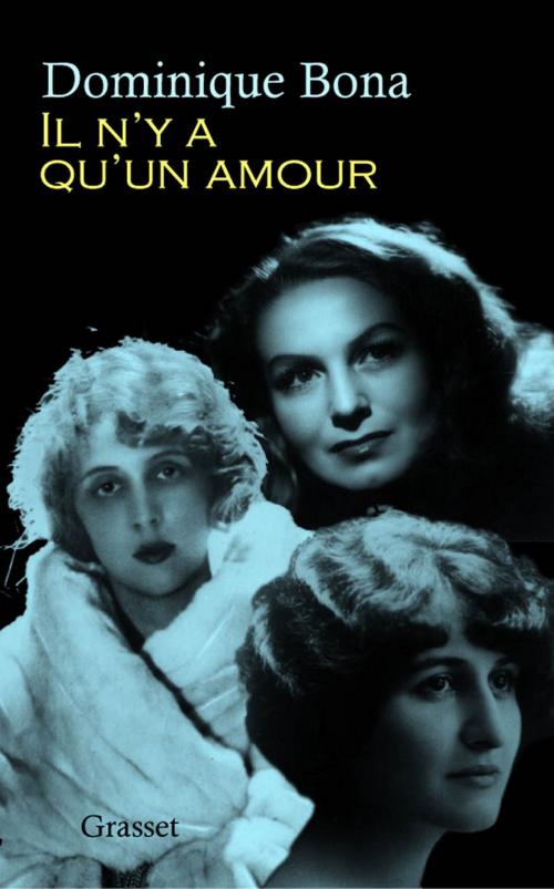 Cover of the book Il n'y a qu'un amour by Dominique Bona, Grasset