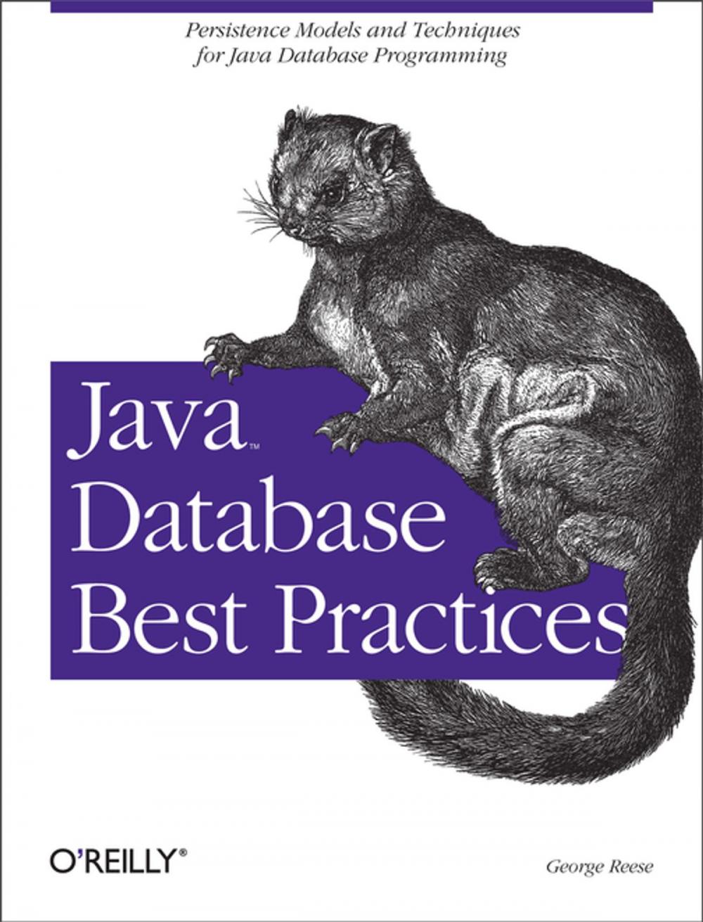 Big bigCover of Java Database Best Practices