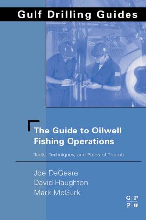 Cover of the book The Guide to Oilwell Fishing Operations by Daniel Calderini, Victor Sadras