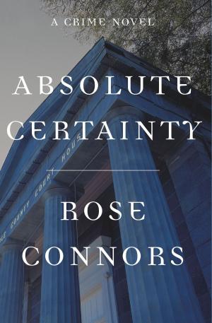 Cover of the book Absolute Certainty by Michael Fabey