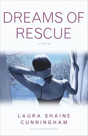 Cover of the book Dreams of Rescue by Philippa Gregory