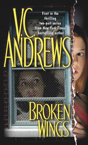 Cover of the book Broken Wings by Hester Browne