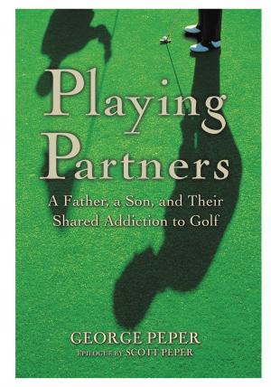 Cover of the book Playing Partners by Gwendolyn Zepeda