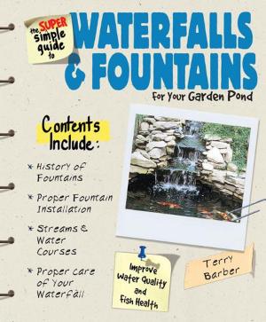 Cover of the book Super Simple Guide to Waterfalls & Fountains by Michael R. Hellweg