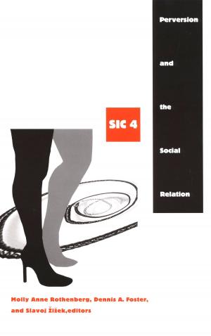 Cover of the book Perversion and the Social Relation by Abraham Steele