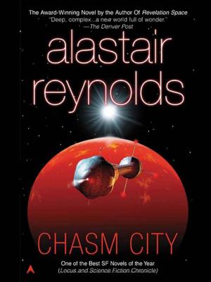 Cover of the book Chasm City by Susan Hayes