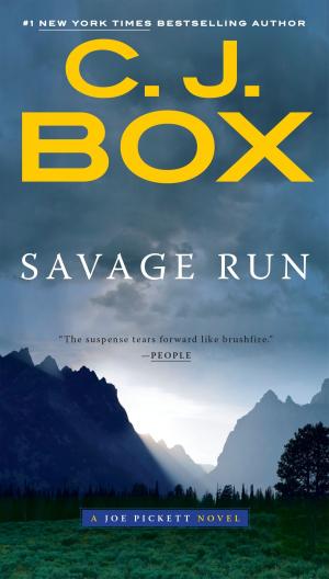 Cover of the book Savage Run by S.E. Valenti