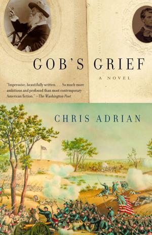 Cover of the book Gob's Grief by David Brock, Paul Waldman