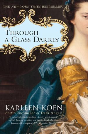 Cover of the book Through a Glass Darkly by Mary Anna Evans