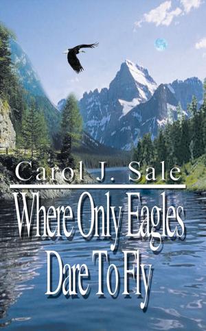 Cover of the book Where Only Eagles Dare to Fly by Bruce Gonce, Aimie Gonce