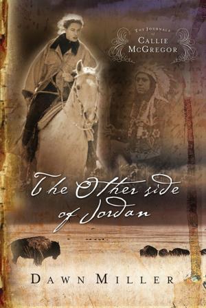 Cover of the book The Other Side of Jordan by Jordan Rubin