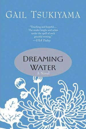 Cover of the book Dreaming Water by James Church