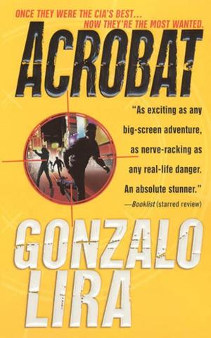 Cover of the book Acrobat by Richard Torrenzano, Mark Davis
