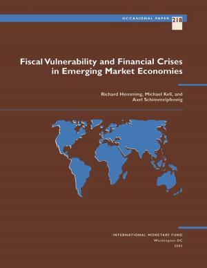Cover of the book Fiscal Vulnerability and Financial Crises in Emerging Market Economies by Adrián Armas, Eduardo Mr. Levy Yeyati, Alain Mr. Ize