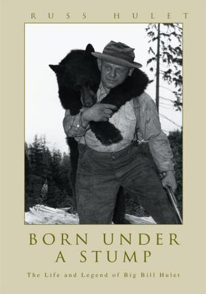 Cover of the book Born Under a Stump by Anastasia Sputnik