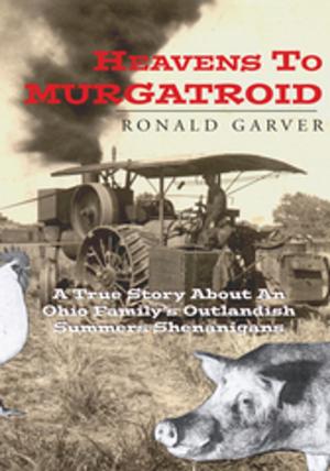 Cover of the book Heavens to Murgatroid by Jamie Carr