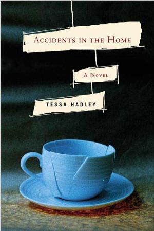 Book cover of Accidents in the Home