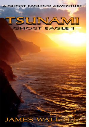 Cover of the book Tsunami by C.T. Shooting Star