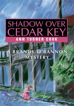 Book cover of Shadow over Cedar Key