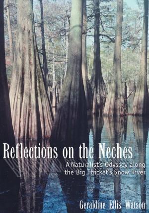 Cover of the book Reflections on the Neches by John C. Dyes