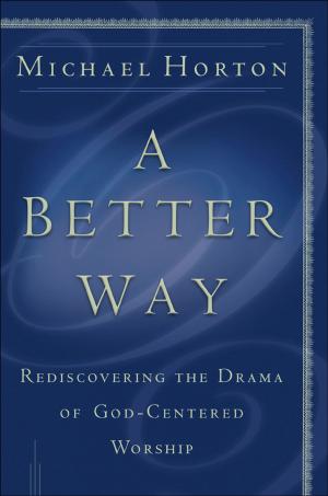 Cover of the book Better Way, A by Tracie Peterson
