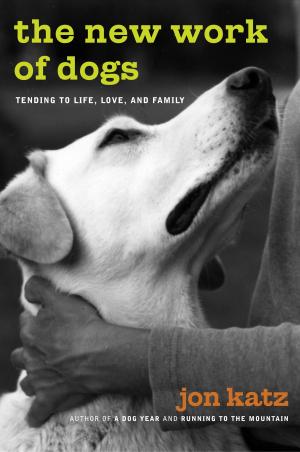 Cover of the book The New Work of Dogs by Lavinia Kent