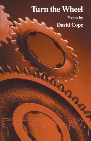 Book cover of Turn the Wheel