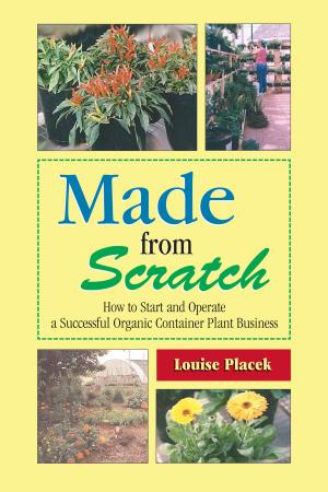 Cover of the book Made from Scratch by Jerry Brunetti