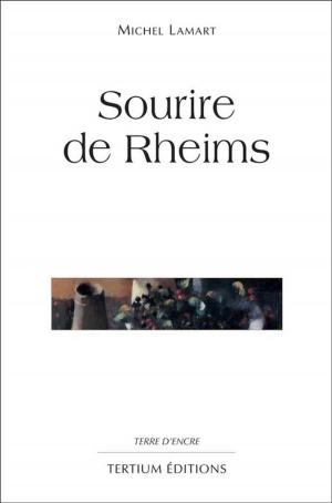 Cover of the book Sourire de Rheims by François-René Daillie