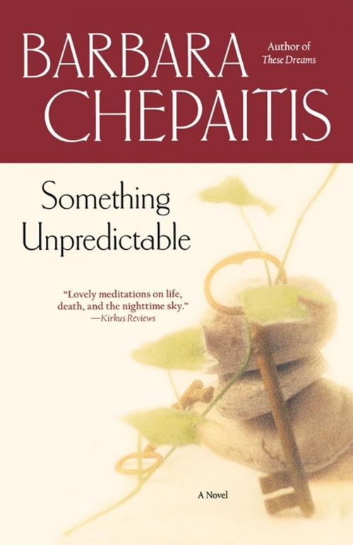 Cover of the book Something Unpredictable by Barbara Chepaitis, Atria Books
