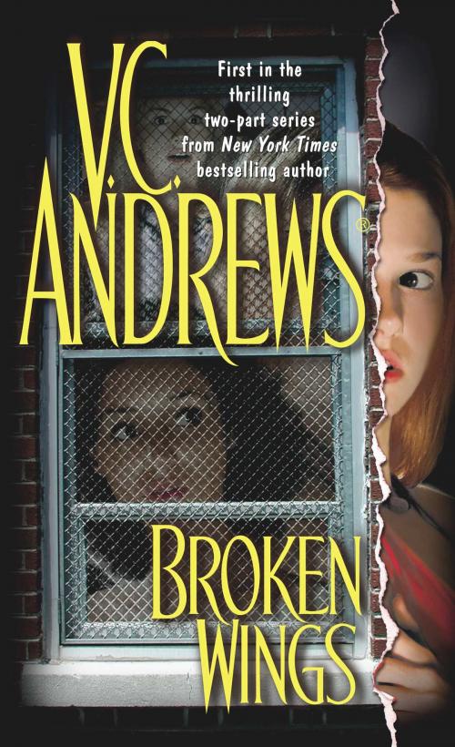 Cover of the book Broken Wings by V.C. Andrews, Pocket Books