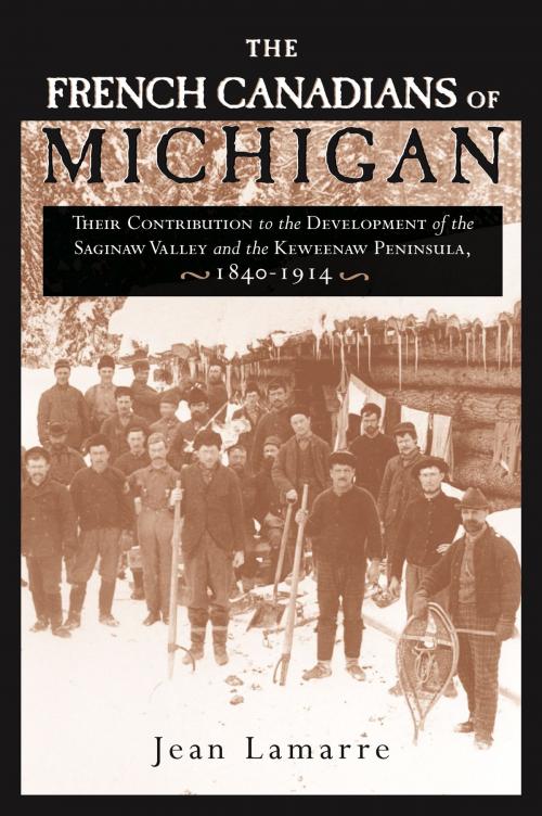 Cover of the book The French Canadians of Michigan by Jean Lamarre, Wayne State University Press