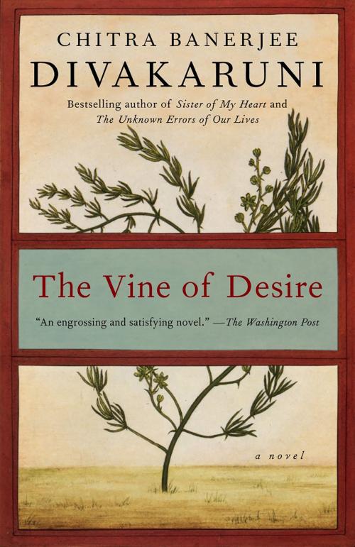 Cover of the book The Vine of Desire by Chitra Banerjee Divakaruni, Knopf Doubleday Publishing Group