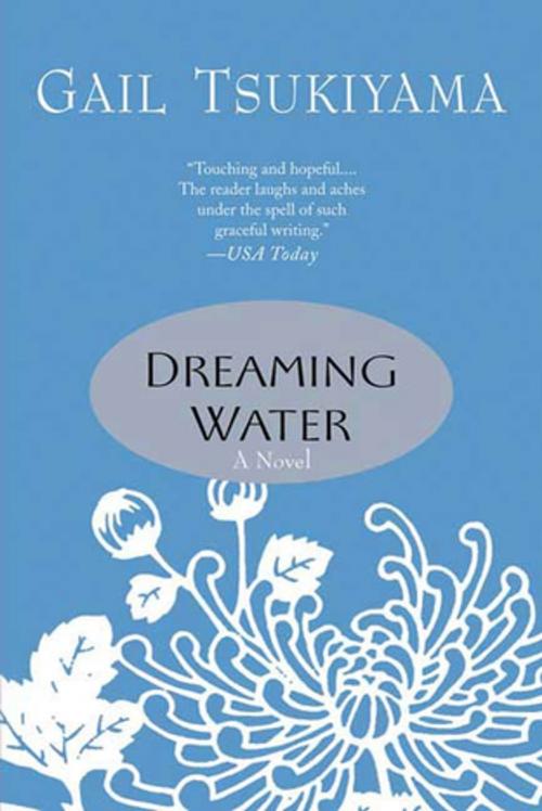 Cover of the book Dreaming Water by Gail Tsukiyama, St. Martin's Press