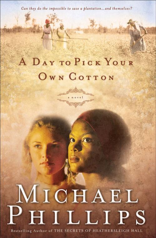 Cover of the book Day to Pick Your Own Cotton, A (Shenandoah Sisters Book #2) by Michael Phillips, Baker Publishing Group