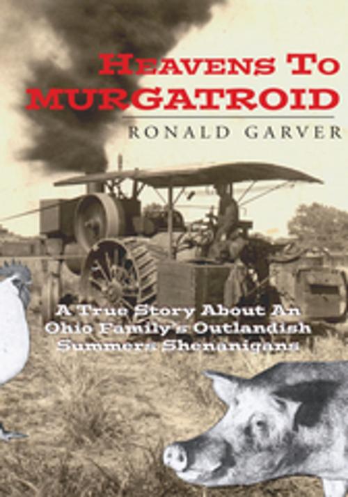 Cover of the book Heavens to Murgatroid by Ronald Garver, Xlibris US