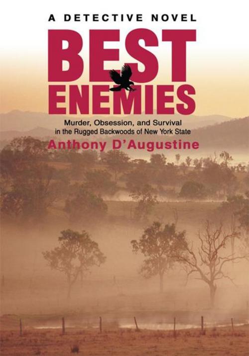 Cover of the book Best Enemies by Anthony D'Augustine, iUniverse