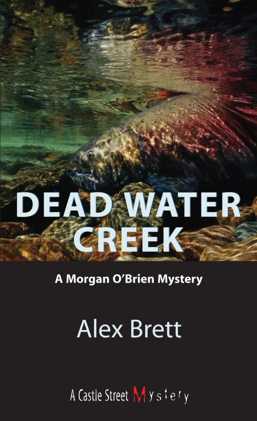 Cover of the book Dead Water Creek by Alex Brett, Dundurn