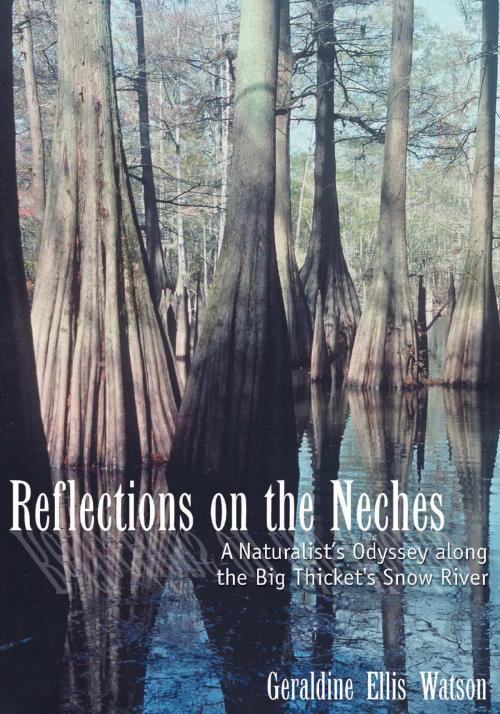 Cover of the book Reflections on the Neches by Geraldine Ellis Watson, University of North Texas Press