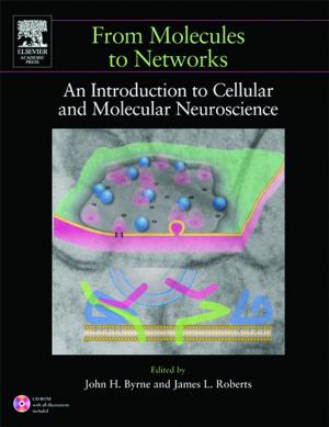 Cover of the book From Molecules to Networks by Robert Weinberger