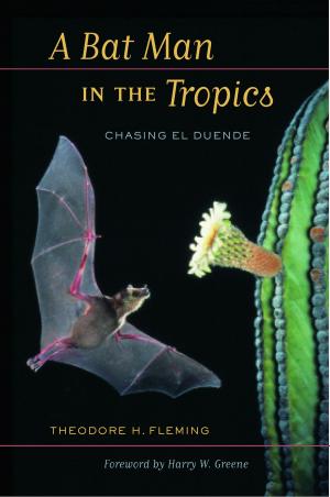 Cover of the book A Bat Man in the Tropics by Allison Pugh