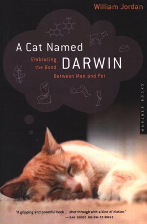 Cover of the book A Cat Named Darwin by Jon Young