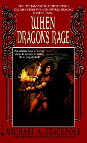 Cover of the book When Dragons Rage by Scott Spangler