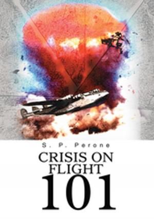 Cover of the book Crisis on Flight 101 by Mike Pappas