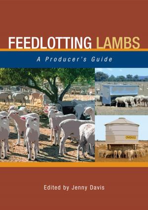 Cover of the book Feedlotting Lambs by John Moran